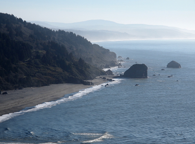 [White-capped Pacific water meets the narrow sandy beach. The edge of the land meanders here so a cove of sorts puts water behind the tree'd land which meets the sand. The cove is misted as are the mountains near it.]